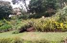 4 Bed Townhouse with En Suite in Nyari - 4