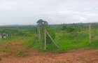 Land in Kilifi County - 13