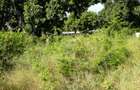 4,047 m² Commercial Land in Kilifi County - 2