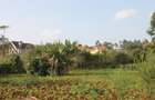0.25 ac Land at Gikambura - 7