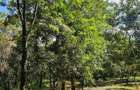 50 ft² Residential Land at Juja - 18