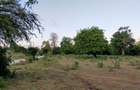 Residential Land in Nyali Area - 8