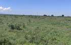 Land in Nanyuki - 13