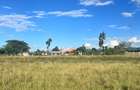 Residential Land at Sunshine - 3