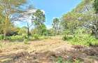 Residential Land at Spring Valley Lower Kabete - 10