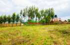 0.05 ha Residential Land at Migumoini - 3
