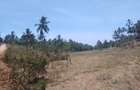 90 ac Land at Ridge - 12