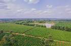 1,000 m² Residential Land at Zuri Springs Estate - 13