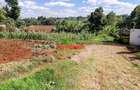 0.125 ac Commercial Land at Kikuyu - 5