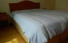 Furnished 2 Bed Apartment with Parking in Westlands Area - 3