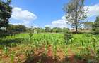 Residential Land in Runda - 6