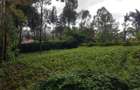 1.25 ac Land in Ngong - 2