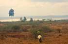 Land in Gilgil - 3