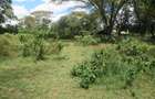 25 ac Land at Moi S Lake Rd - 4