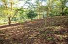 0.809371 ha Residential Land at Matasia - 3