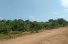 1,000 ft² Land at Diani Beach Road - 4