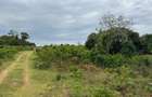 20 ac Land in Vipingo - 7