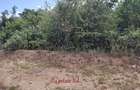 1.00 ac Residential Land at Diani Beach Road - 4
