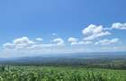 0.25 ac Residential Land at Nakuru - 11