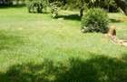 1 ac Residential Land in Karen - 6