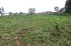 7.5 ac Land at Kikuyu Town - 14