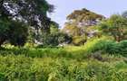Residential Land at Karen - 5