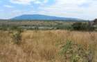 10 ac Land at Maguguni - 4