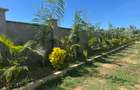 4 Bed Villa with En Suite at Mtwapa Bliss Villa - 5