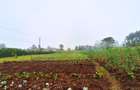 2 ac Commercial Land at Rironi - 2