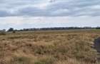 700 ac Land at Bisil - 3