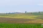 Land in Narok - 11