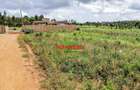 0.05 ha Residential Land at Lusigetti - 11