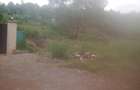 0.8 ac Residential Land at Kiambu - 1