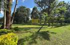 Office in Ngong Road - 11