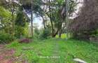 4.8 ac Land in Lower Kabete - 10