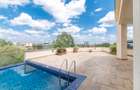 1 Bed Apartment with Swimming Pool at David Osieli Road - 8