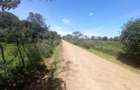 5 ac Residential Land at Nanyuki - 2