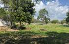 7 ac Commercial Land at Shanzu Beach - Overlooking Mtwapa Creek - 16