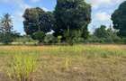 30 ac Land at Kikambala Bomani - 2