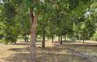 6 ac Land at Mtwapa - 1