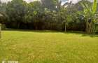 4 Bed Villa with En Suite in Runda - 8