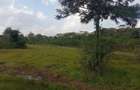 Land in Karen - 4