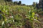 0.025 ac Land in Ngong - 4