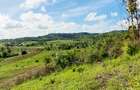 Land at Vipingo - 4