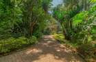 5 Bed House with En Suite in Kitisuru - 3