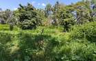 1.1 ac Land in Karen - 4