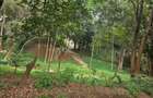 4 Bed Townhouse with En Suite in Rosslyn - 12