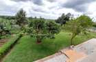 1.5 ac Commercial Property with Fibre Internet in Runda - 10