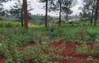 0.046 ha Land in Tatu City - 15