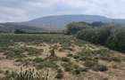 1,000 ac Land at Mai Mahiu - 1